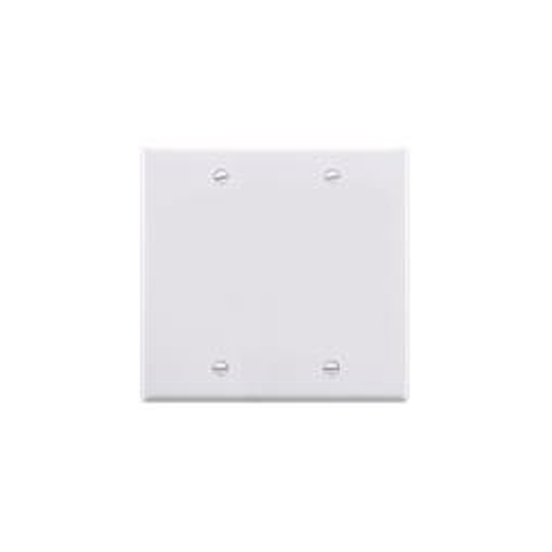 Faceplate, Blank, DoubleGang, Ivory CableLAN